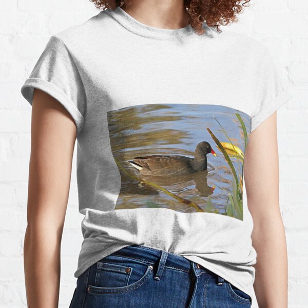 Dusky Moorhen (72) Classic T-Shirt