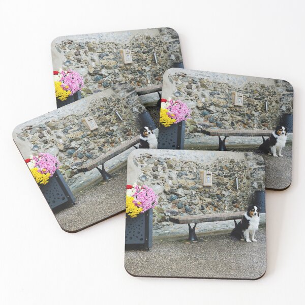 Item preview, Cute Australian Shepherd Dog in Street of Floral Village designed and sold by CarolinaReina.