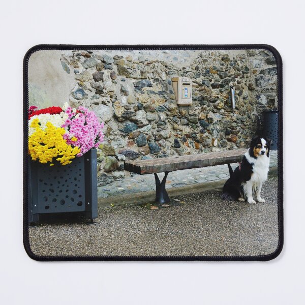 Item preview, Cute Australian Shepherd Dog in Street of Floral Village designed and sold by CarolinaReina.