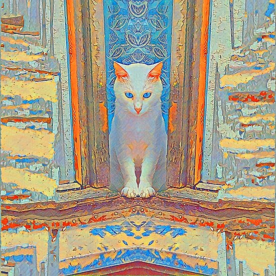 Symmetrical cat