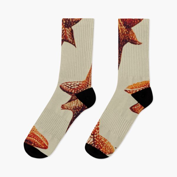 Item preview, Vintage starfish designed and sold by hamptonstyle.