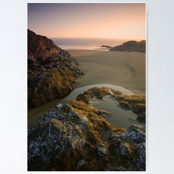 Item preview, Pacific Rim National Park designed and sold by Moral.