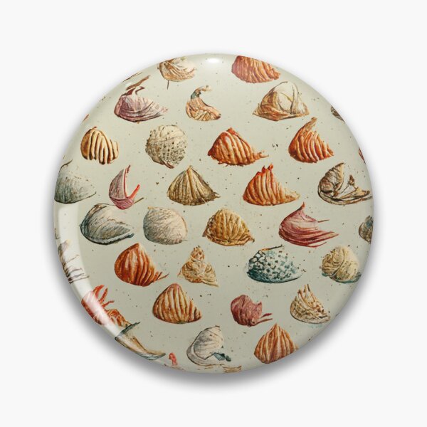 Artikelvorschau, Vintage Muscheln II entworfen und verkauft von hamptonstyle.