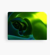 Time Travel Canvas Print