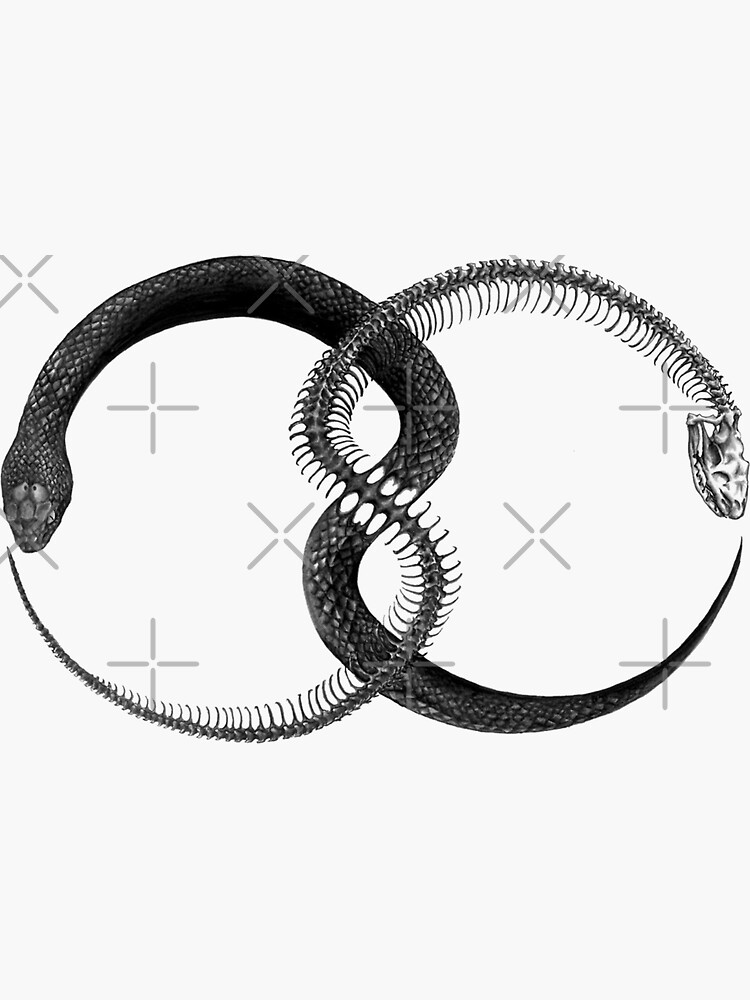 Black and grey snake illustration, Ouroboros Tattoo Symbol , Ouroboros  transparent background PNG clipart | HiClipart