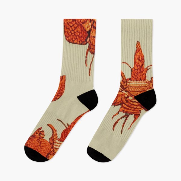 Item preview, Vintage lobster II designed and sold by hamptonstyle.