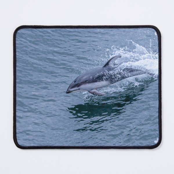 Item preview, Pacific White-sided Dolphins designed and sold by Dalyndigital Photography.