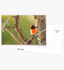The Fire In The Branches Postcards