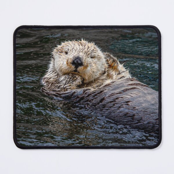 Item preview, Otterly blissful designed and sold by Dalyndigital Photography.