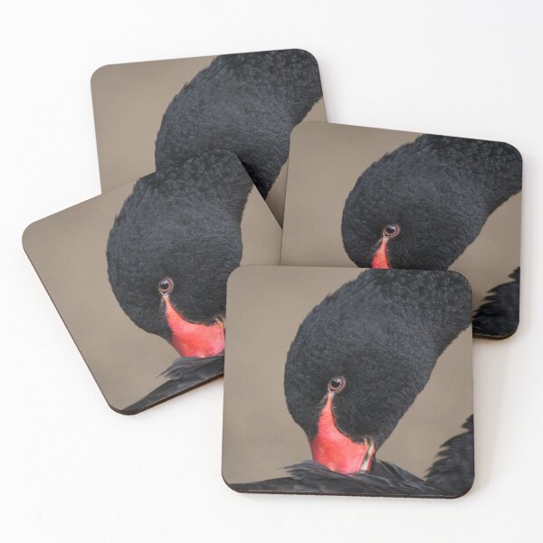 Item preview, Black Swan designed and sold by rawshutterbug.