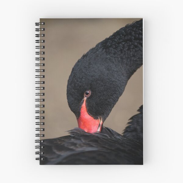 Item preview, Black Swan designed and sold by rawshutterbug.