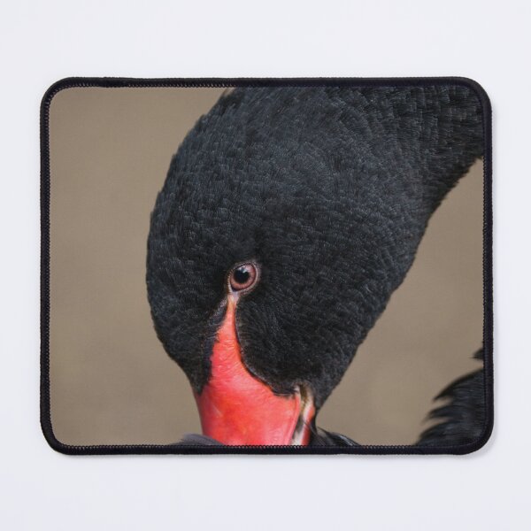 Item preview, Black Swan designed and sold by rawshutterbug.