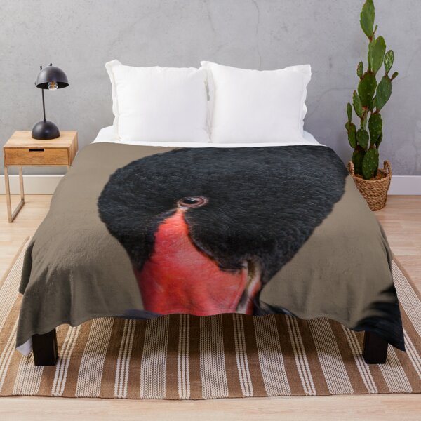 Item preview, Black Swan designed and sold by rawshutterbug.