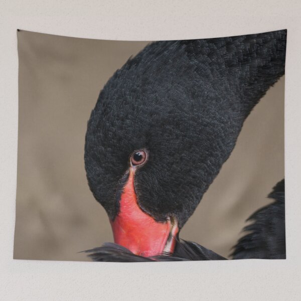 Item preview, Black Swan designed and sold by rawshutterbug.