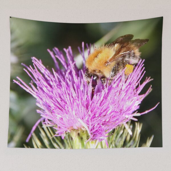 Artikelvorschau, Bumble Bee & Distel entworfen und verkauft von AnnDixon.