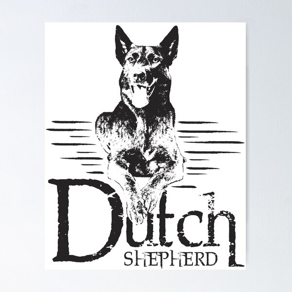 Artikelvorschau, Dutchie - Dutch Shepherd entworfen und verkauft von k9printart.