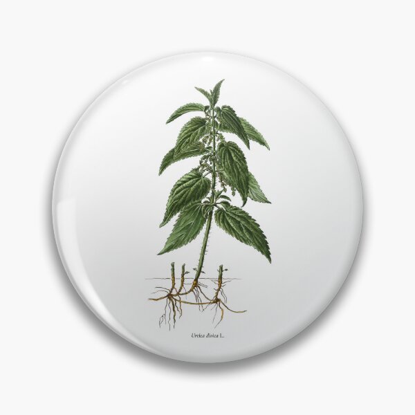 Item preview, Nettle designed and sold by Shirts4Locals.