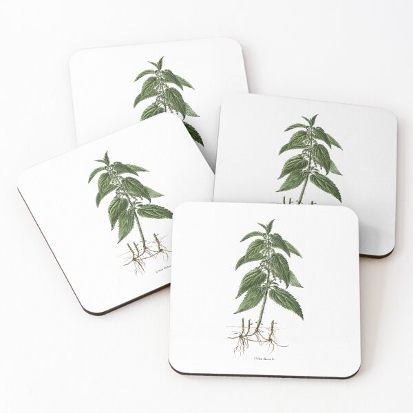 Item preview, Nettle designed and sold by Shirts4Locals.