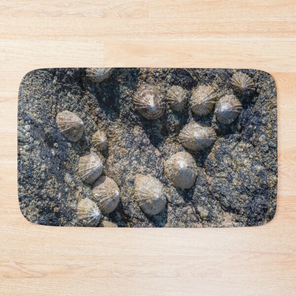Item preview, mussel colony designed and sold by OskiOnTour.