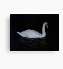 Single Swan Canvas Print