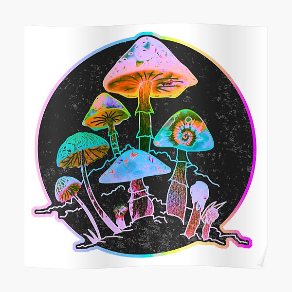 Garden of Shrooms 2020 Poster