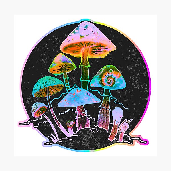 Garden of Shrooms 2020 Photographic Print