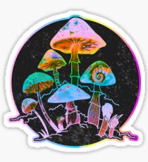 Garden of Shrooms 2020 Sticker