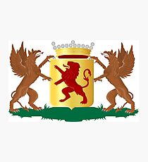 Vlaardingen Coat of Arms, Netherlands Photographic Print