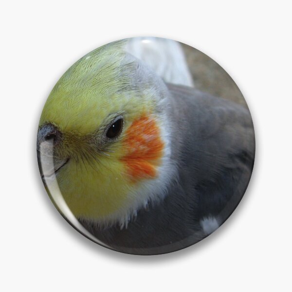 Item preview, Whatcha doin?? designed and sold by Sharon Perrett.