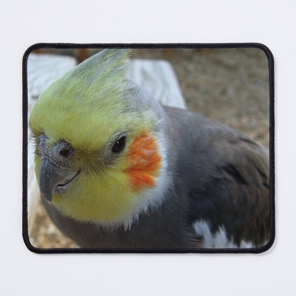 Item preview, Whatcha doin?? designed and sold by Sharon Perrett.