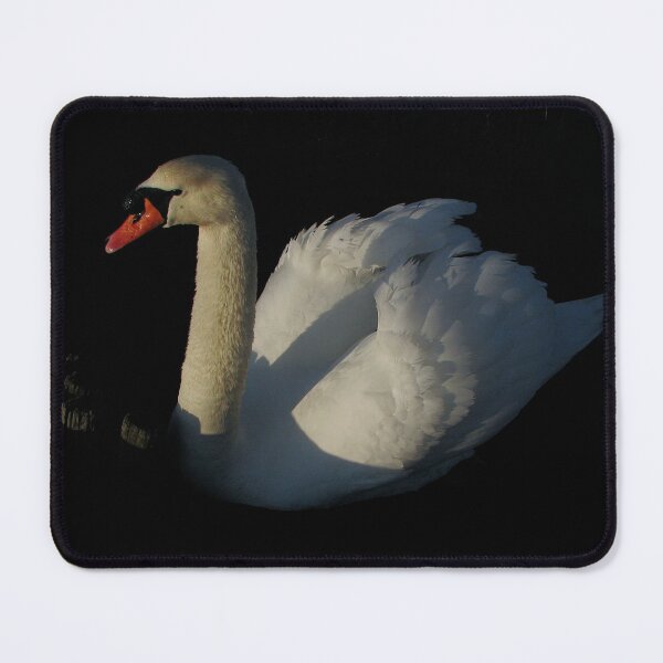 Item preview, In the morning light designed and sold by Sharon Perrett.