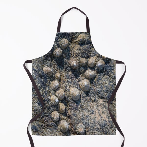 Item preview, mussel colony designed and sold by OskiOnTour.