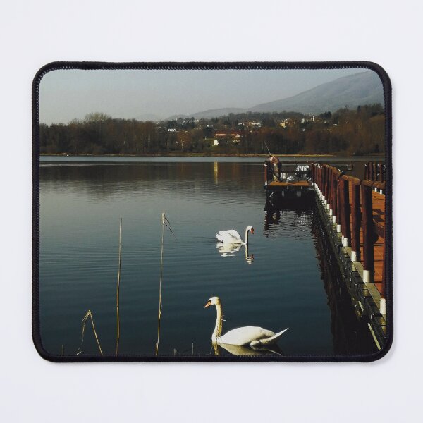 Item preview, Lake with swan and bridge landscape photography  designed and sold by marghe41.