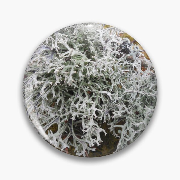 Item preview, This moss is like from the hidden world designed and sold by Raigitam.
