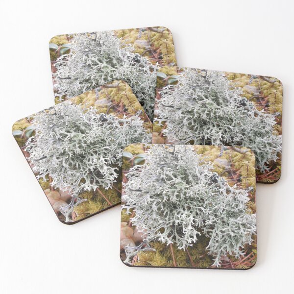 Item preview, This moss is like from the hidden world designed and sold by Raigitam.