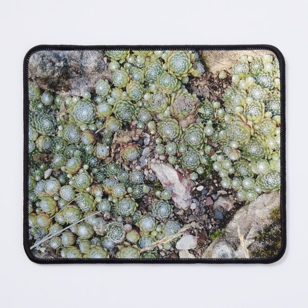 Item preview, There is a door to fairyland hidden somewhere designed and sold by Raigitam.