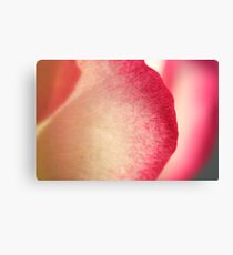 Rose Petal Leinwanddruck