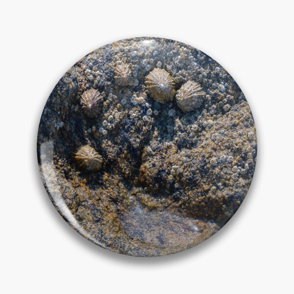 Item preview, outskirts of the mussel colony designed and sold by OskiOnTour.