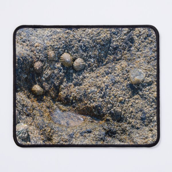 Item preview, outskirts of the mussel colony designed and sold by OskiOnTour.