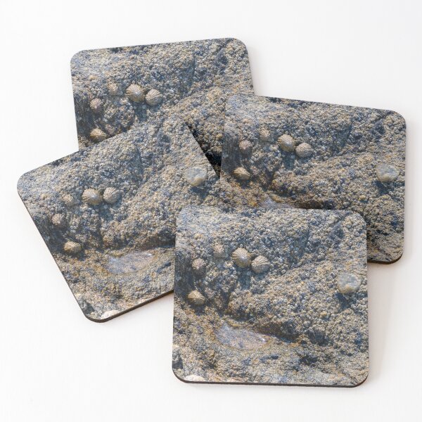 Item preview, outskirts of the mussel colony designed and sold by OskiOnTour.