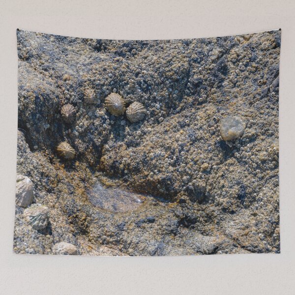 Item preview, outskirts of the mussel colony designed and sold by OskiOnTour.