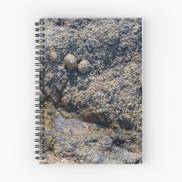 Item preview, outskirts of the mussel colony designed and sold by OskiOnTour.