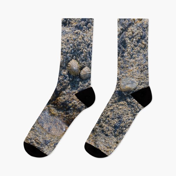 Item preview, outskirts of the mussel colony designed and sold by OskiOnTour.