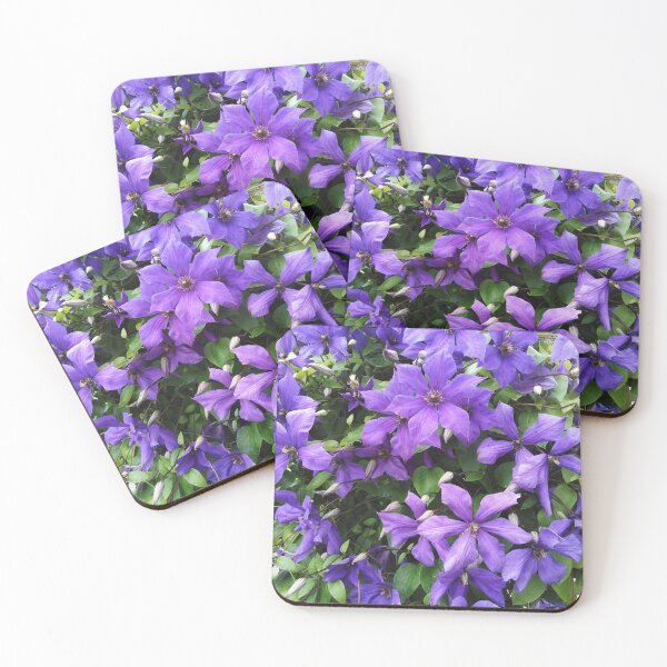 Item preview, This clematis knows how to enjoy autumn designed and sold by Raigitam.