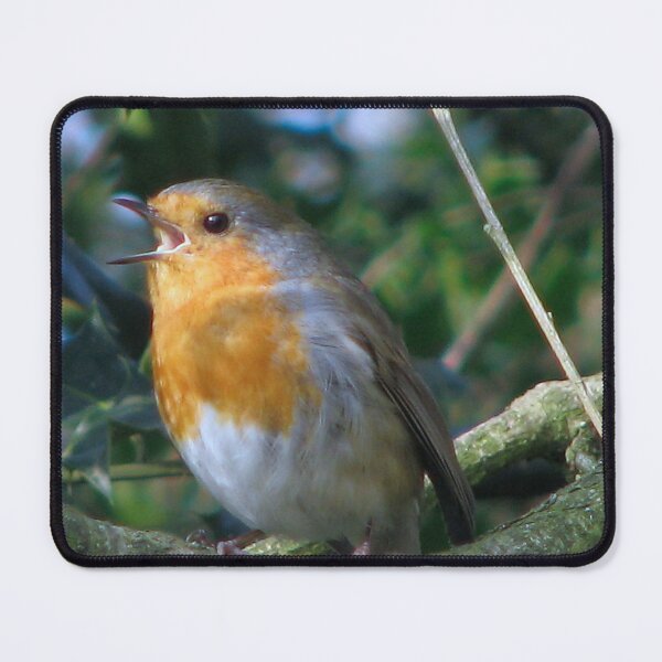 Item preview, And the red,red robin was bop,bop,bopping along designed and sold by Sharon Perrett.