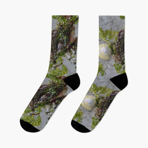 Item preview, It is served designed and sold by OskiOnTour.