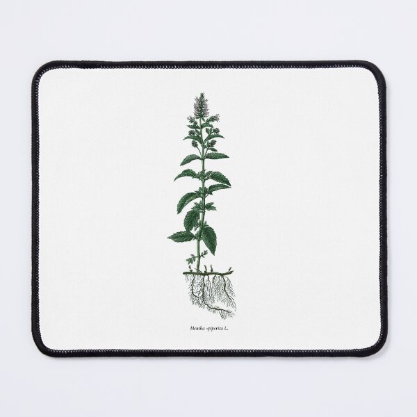 Item preview, Mint designed and sold by Shirts4Locals.