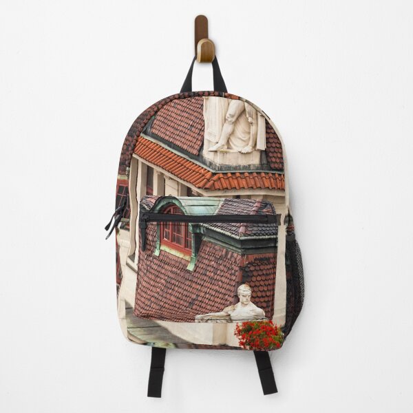 Item preview, Watching Over Prague - 2 ©  designed and sold by © Hany G. Jadaa © Prince John Photography.