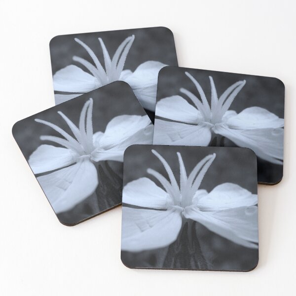 Item preview, White Campion - a different view designed and sold by Sharon Perrett.