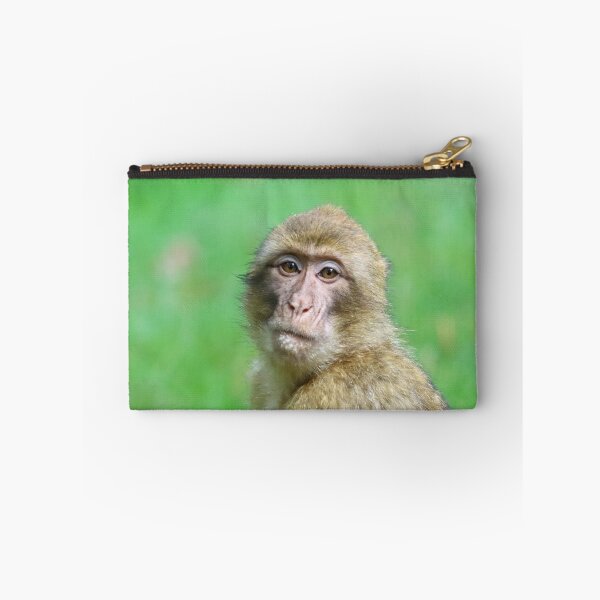 Item preview, Barbary macaque portrait designed and sold by GreyFeatherPhot.